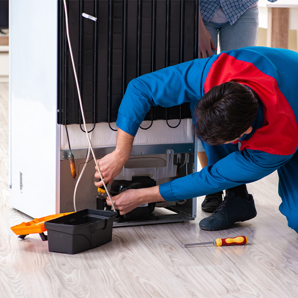 what are the common refrigerator repair services in Mountain View